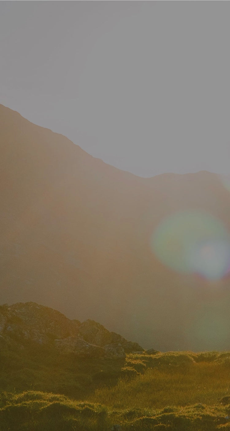 A breathtaking view of a mountain landscape bathed in golden sunlight. The sun shines brightly over the peaks, creating a warm glow and lens flares across the scene. The grassy foreground is illuminated, enhancing the natural beauty and serene atmosphere of the outdoors.